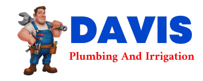 Trusted plumber in THELMA